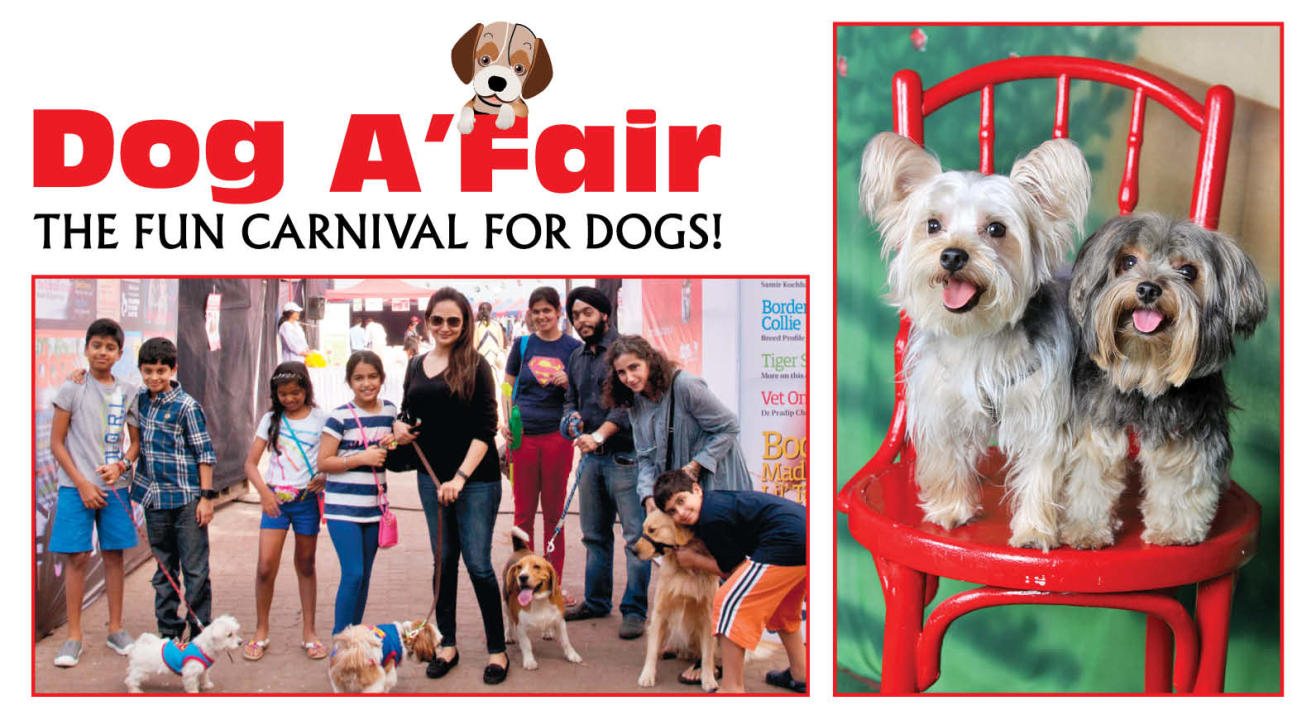 Dog A’Fair