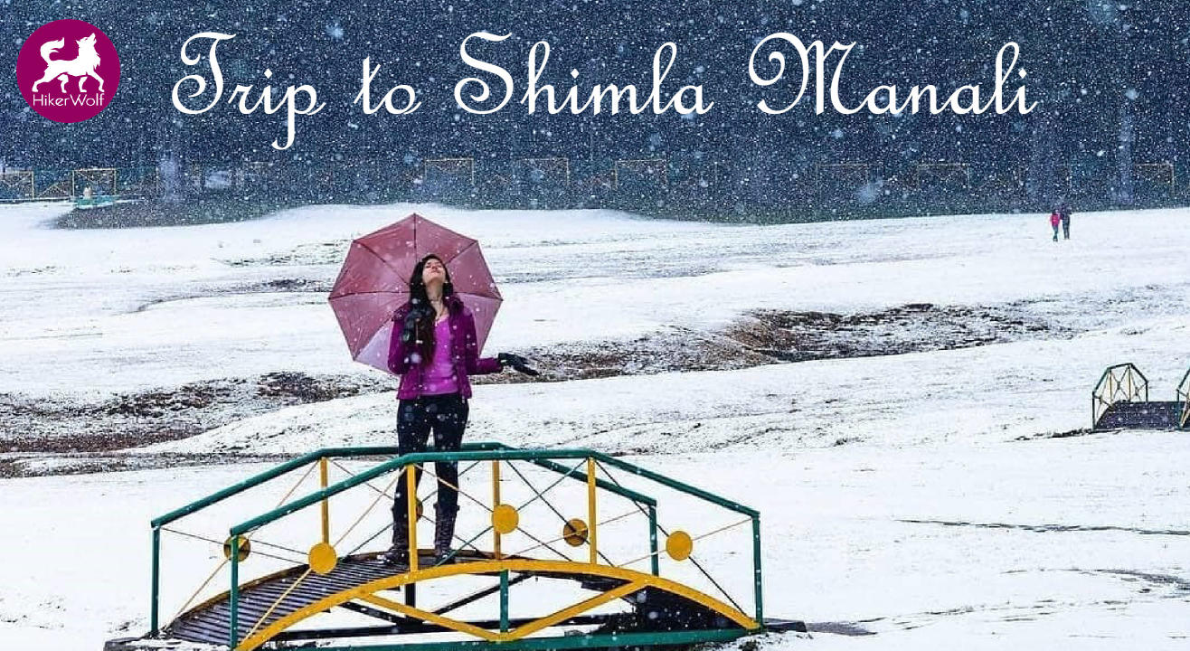 HikerWolf - Trip to Shimla Manali