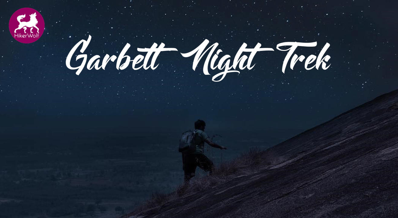 HikerWolf- Garbett Night Trek