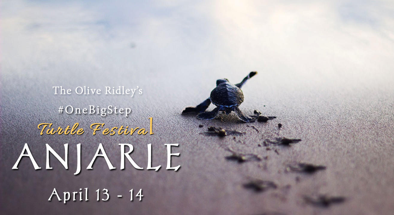 One Big Step - Olive Ridley's Turtle Festival at Anjarle