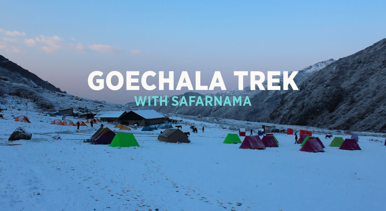 Goechala Trek With Safarnama