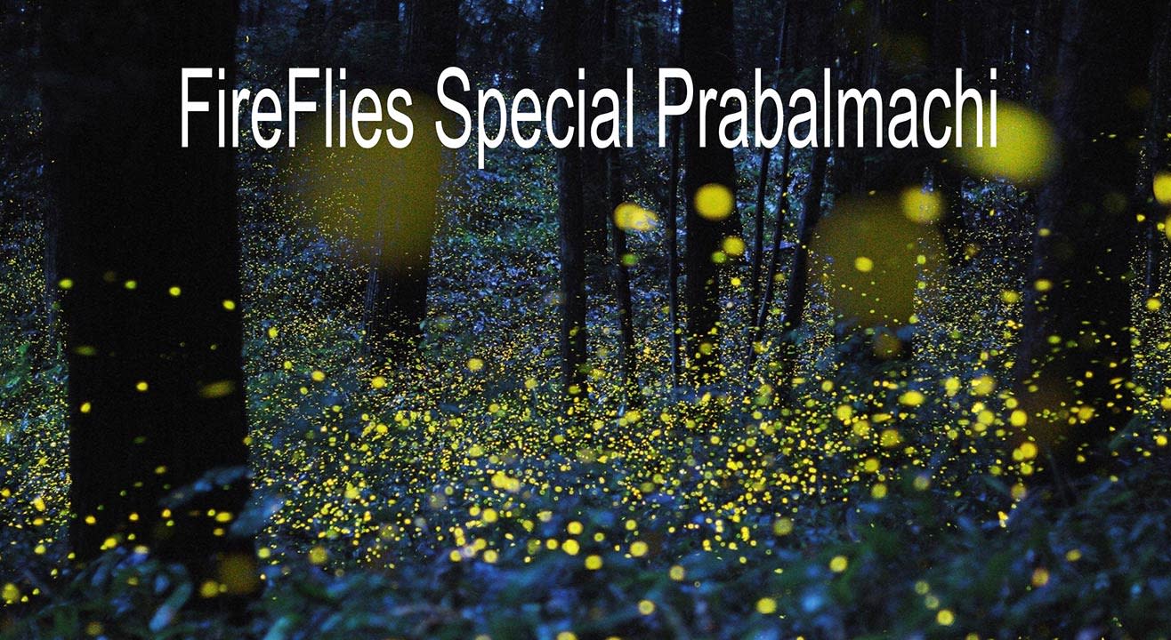 FireFlies Special Prabalmachi | Trek India