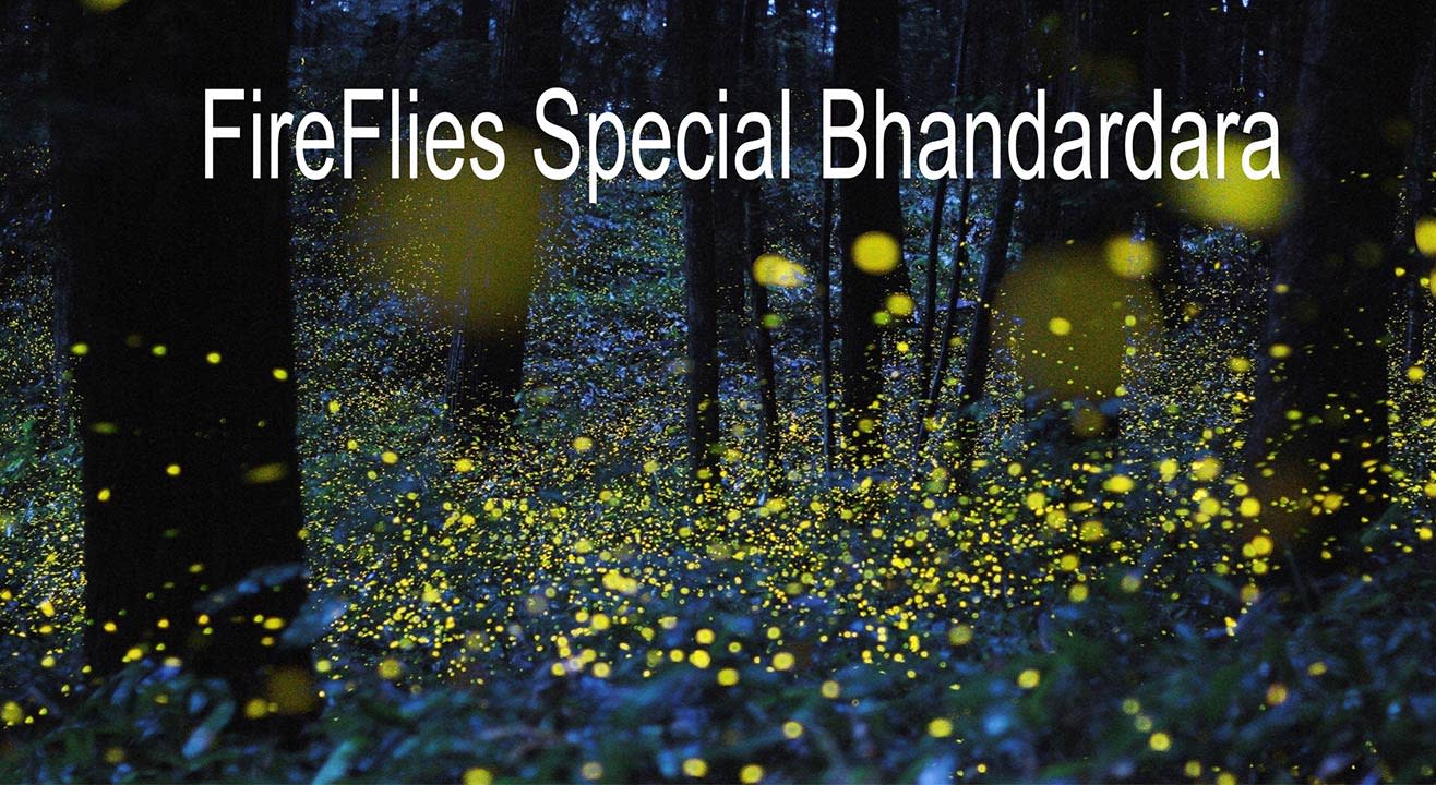 FireFlies Special Bhandardara | Trek India