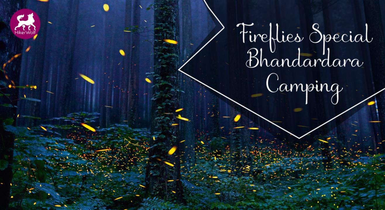 HikerWolf- Fireflies Special Bhandardara Camping