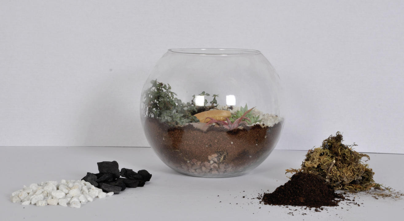 Terrarium Gardening Workshop 