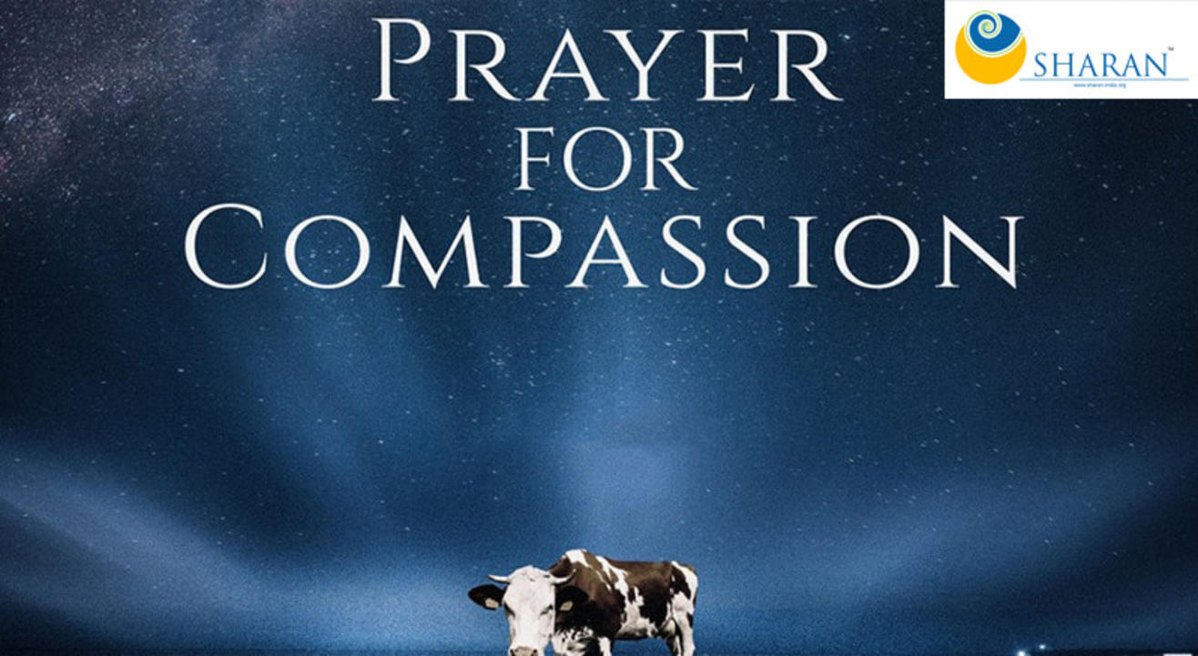 A Prayer for Compassion (Free Movie Screening)