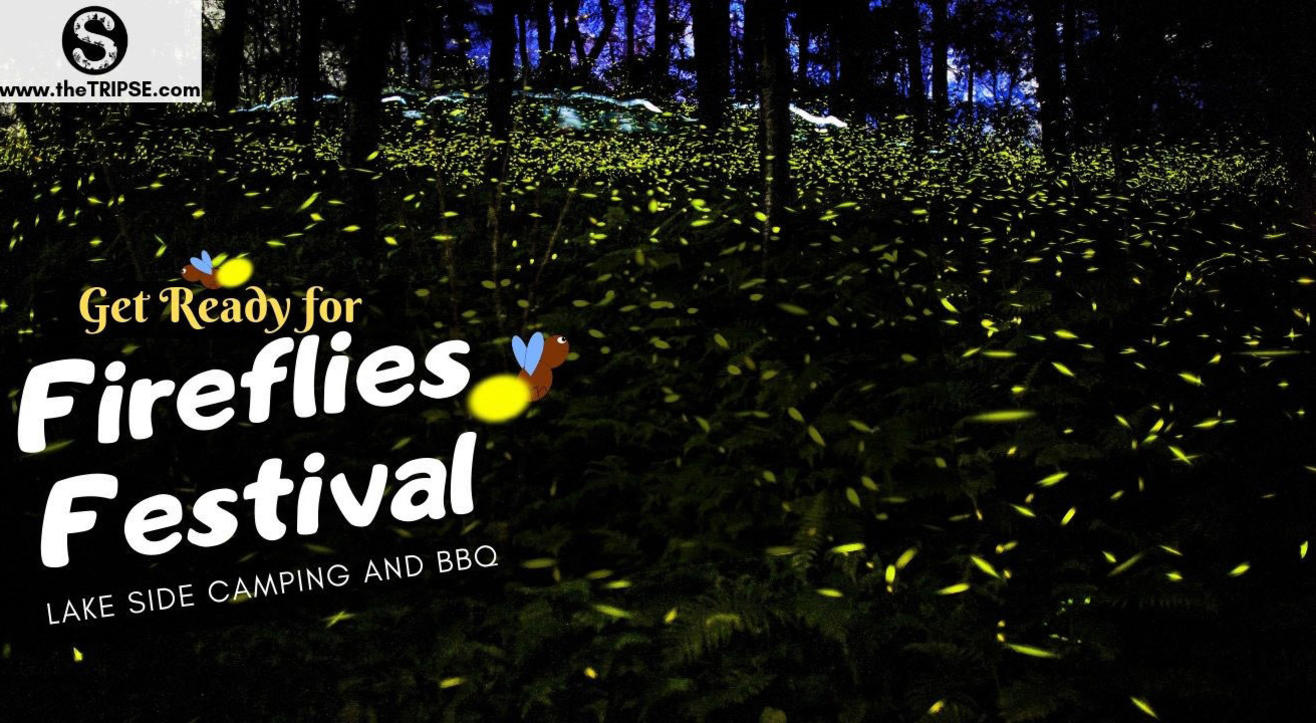 Fireflies Festival- Bhandardara