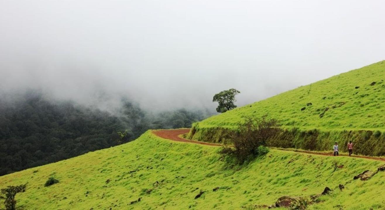 Kodachadri Trek And Nagara Fort Visit | My Hikes
