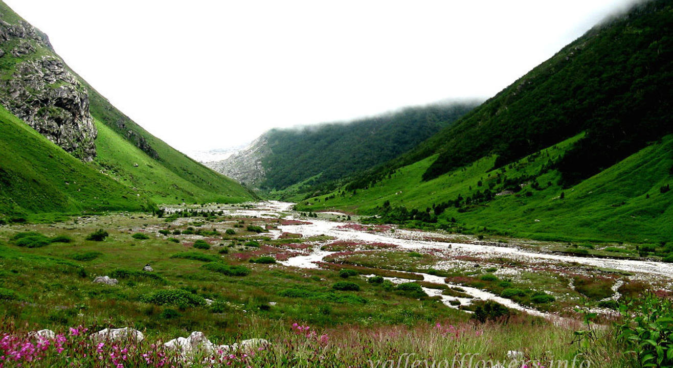 Valley of Flowers 2019 National Himalayan Trekking Cum Training Expedition