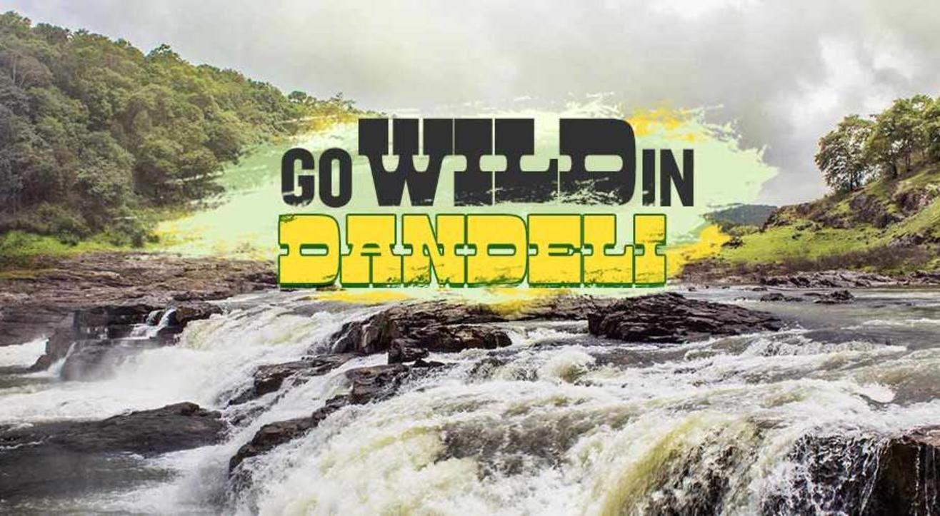 Go Wild In Dandeli | Rafting,Camping,Wildlife | Namma Trip