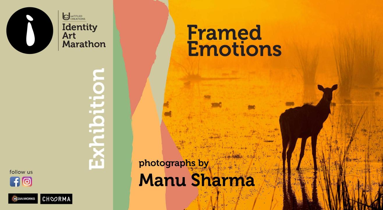 Framed Emotions