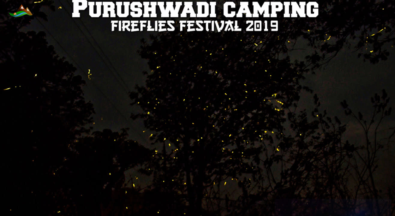 Fireflies festival: Purushwadi camping  | Ramblers India