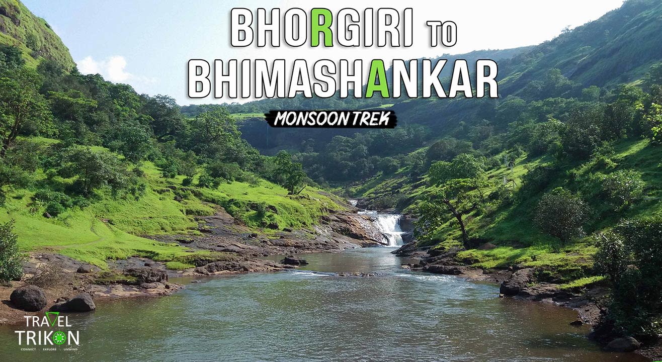 Bhimashankar To Bhorgiri Monsoon Trek | Travel Trikon