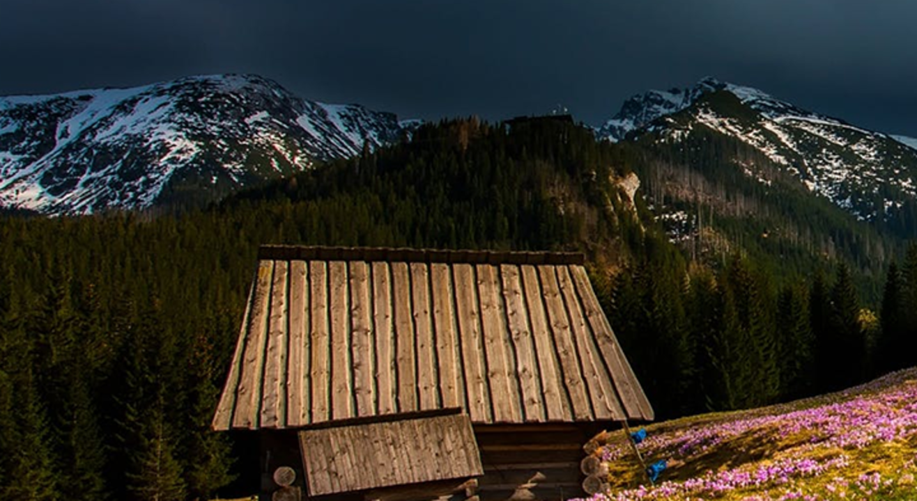 Trek to Valley of Flowers and Hemkund Sahib Ji | Dogether