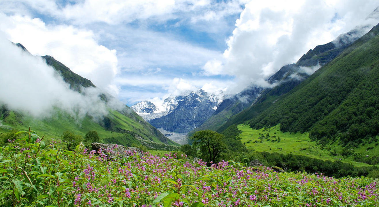 Trek To Valley Of Flowers, A UNESCO World Heritage Site | Wandertrails