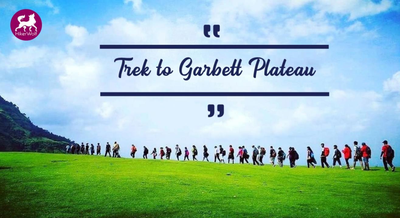HikerWolf - Trek to Garbett Plateau & Bhivpuri Waterfall