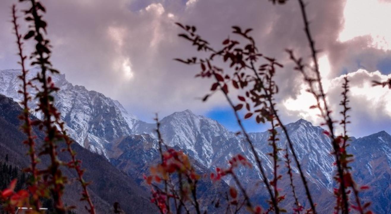 Road Trip to Chitkul