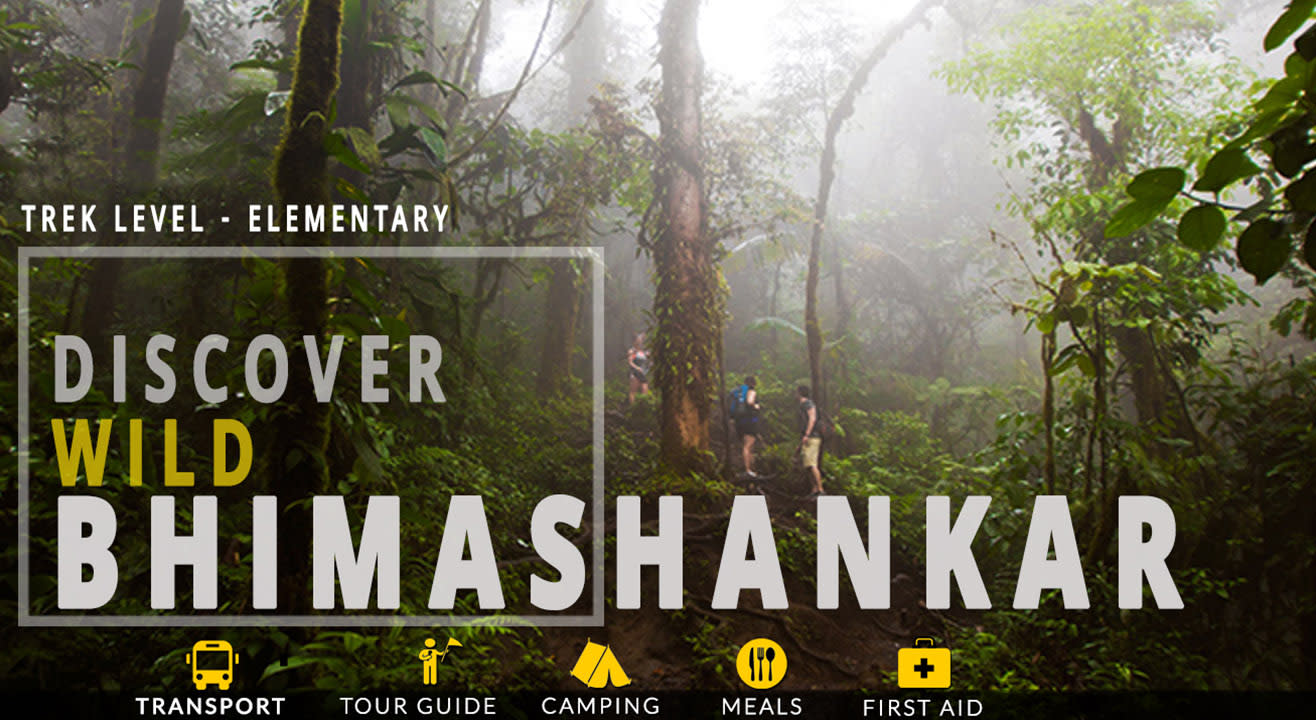 Discover wild Bhimashankar