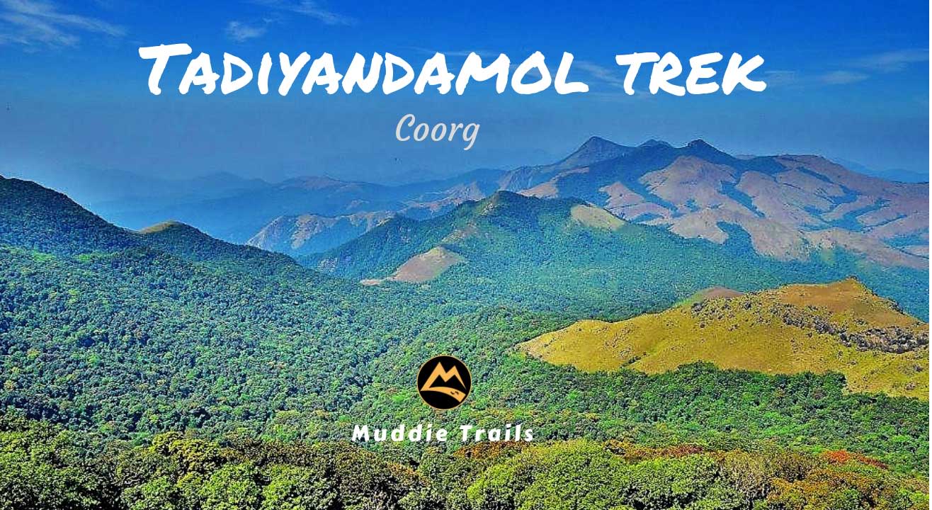 Coorg Monsoon Special Trek to Tadiyandamol Peak, Lake, Kushalnagar | Muddie Trails