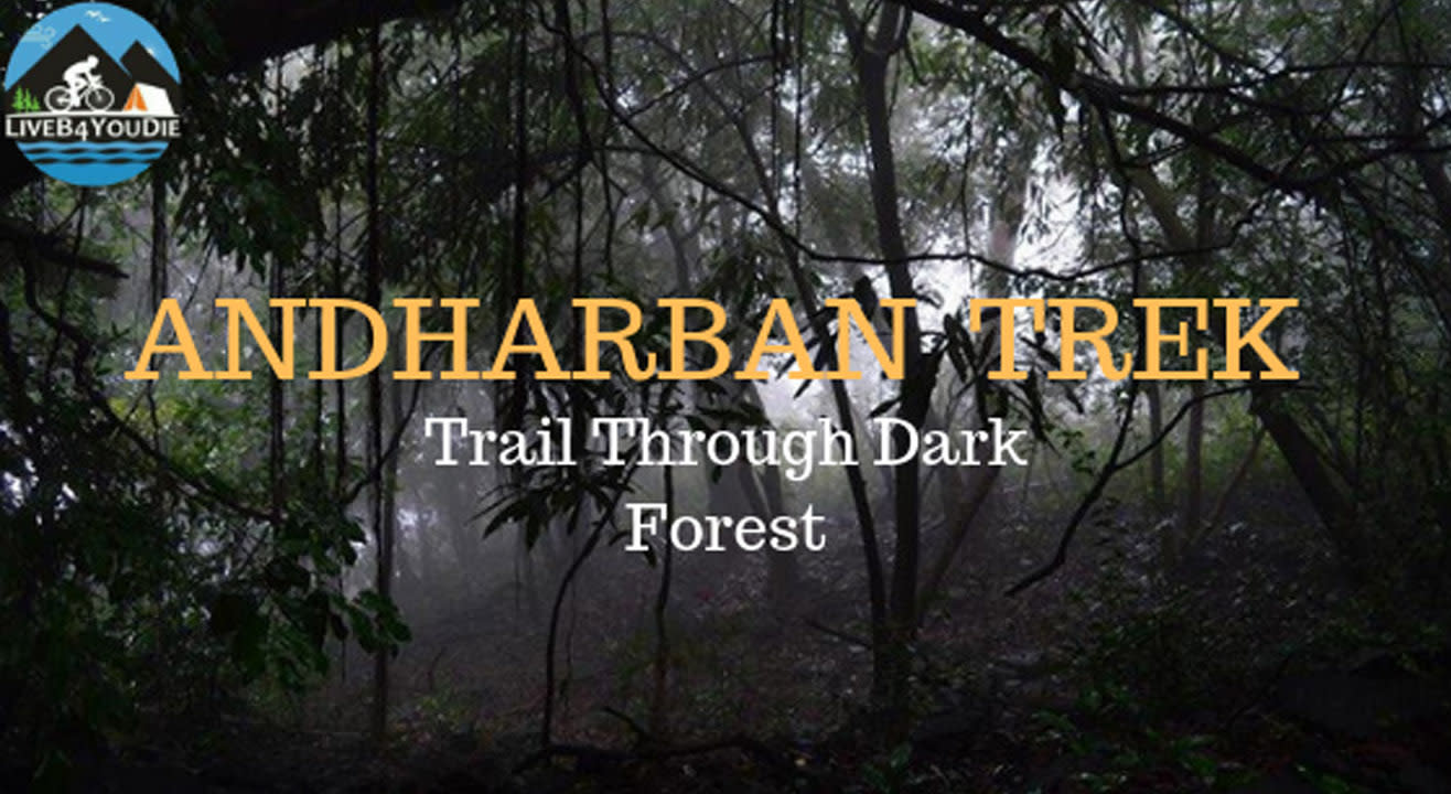 Monsoon Jungle Trail To Andharban