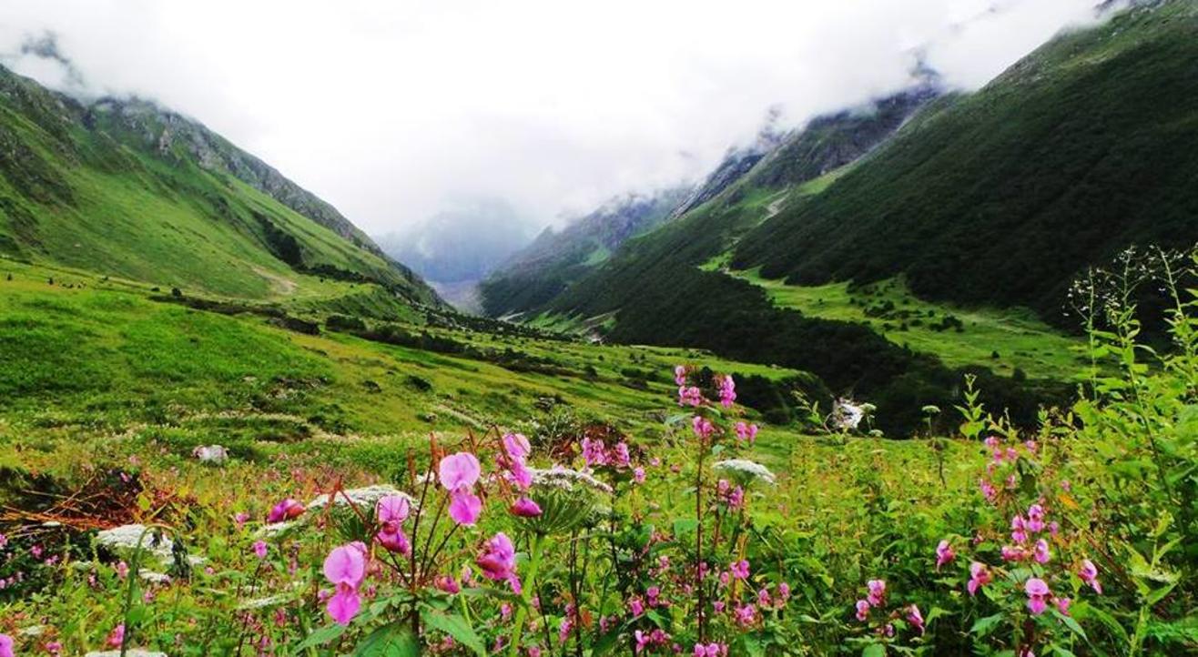 Valley of Flowers Trek | YHAI