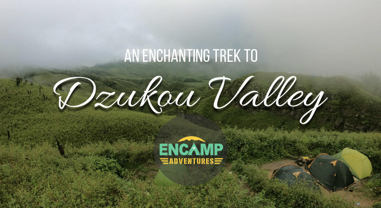 Dzukou Valley trek | Encamp Adventures