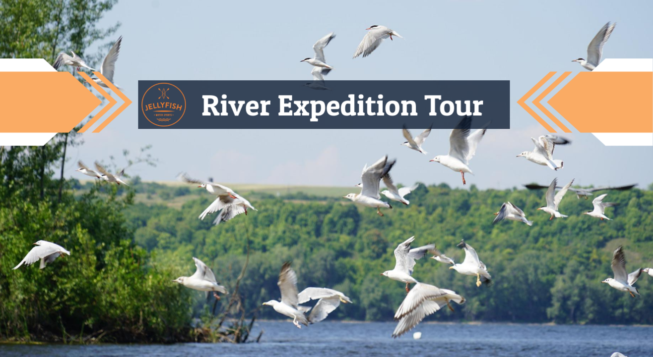 River Expedition | Daily