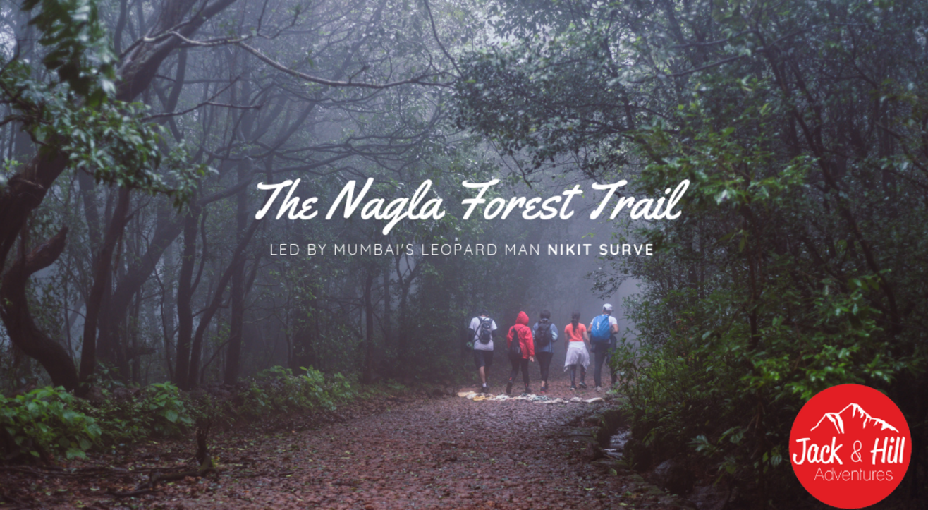 The Nagla Forest Trail