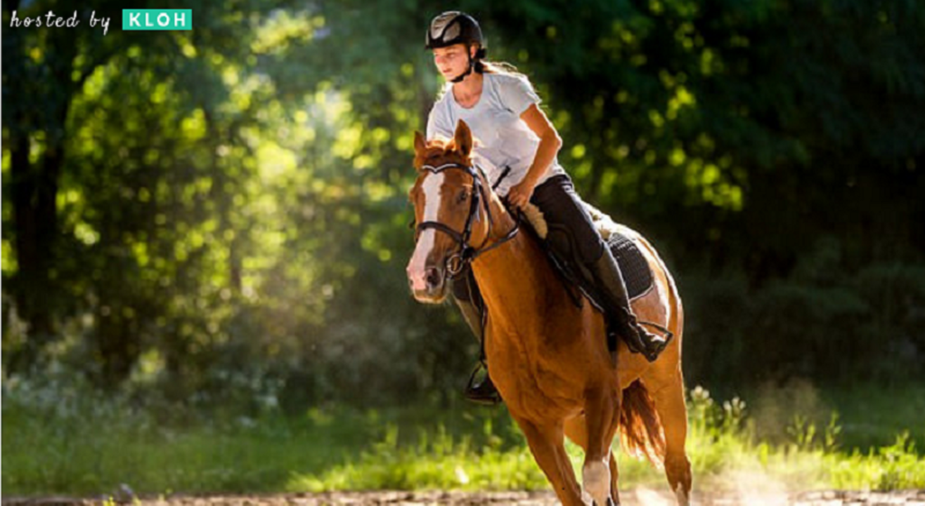 Horse Riding Fundamentals.