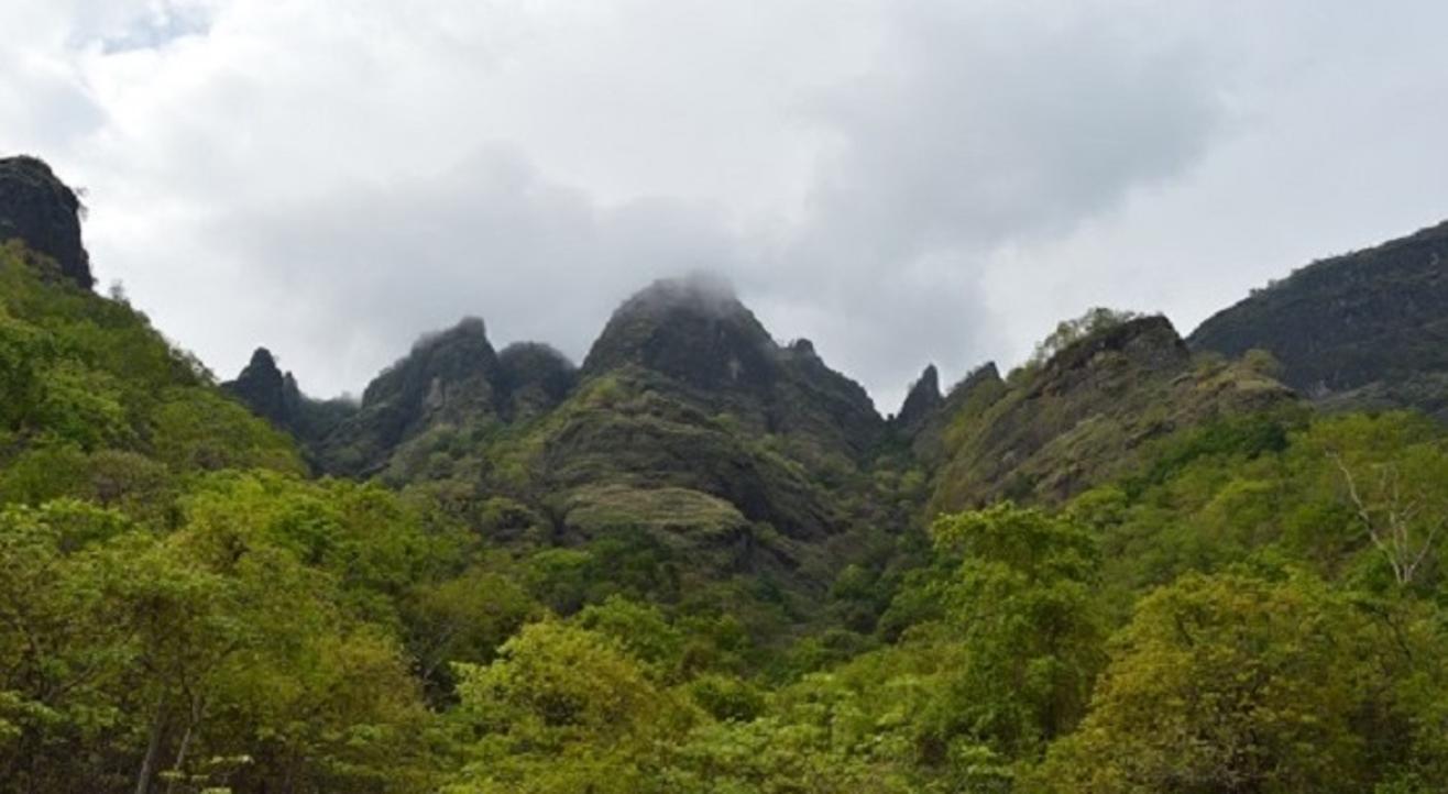 Ahupe Ghat Trek