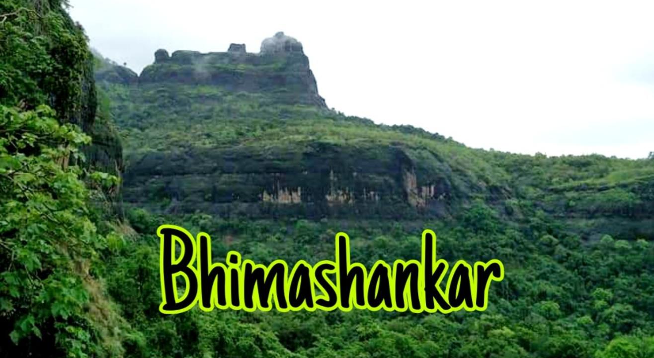 Sumeru Trekkers Overnight Trek To Bhimashankar (Via Ladder Route)