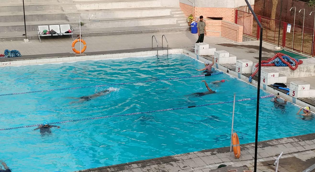 Fitso SEALs Swimming Classes Apeejay School Noida