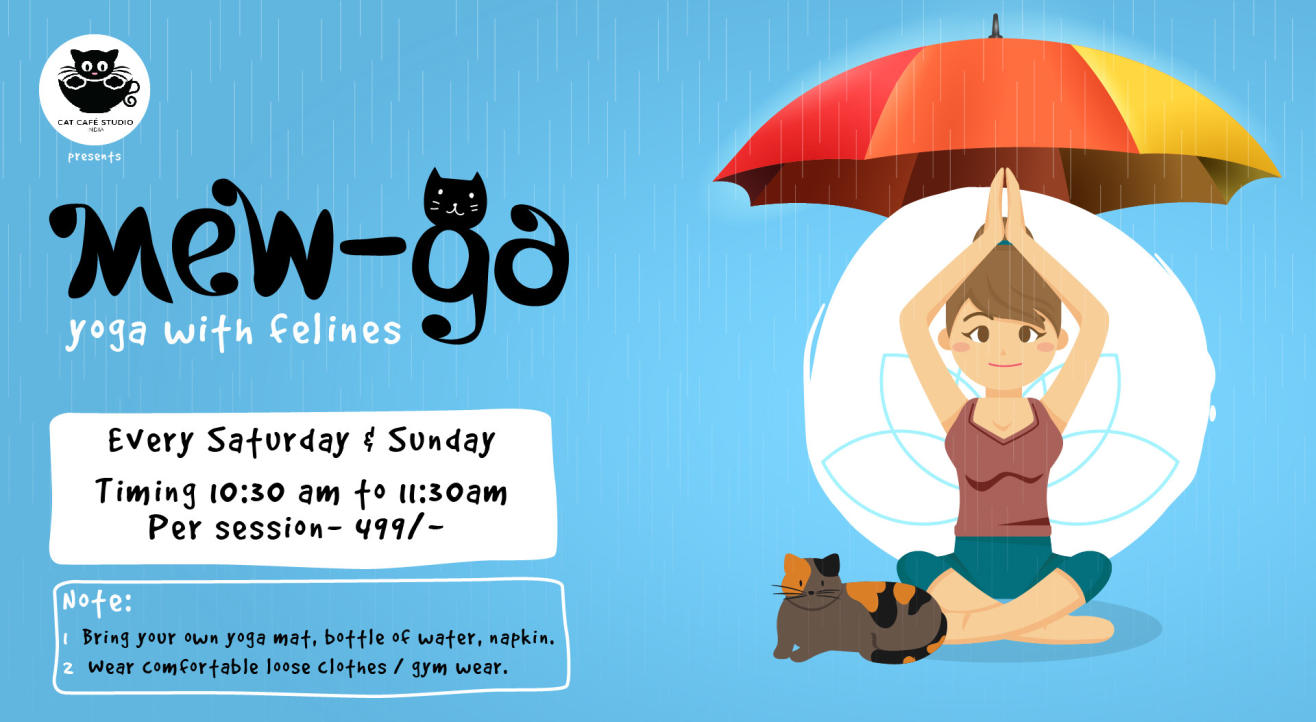 Mew-Ga : Yoga with Felines