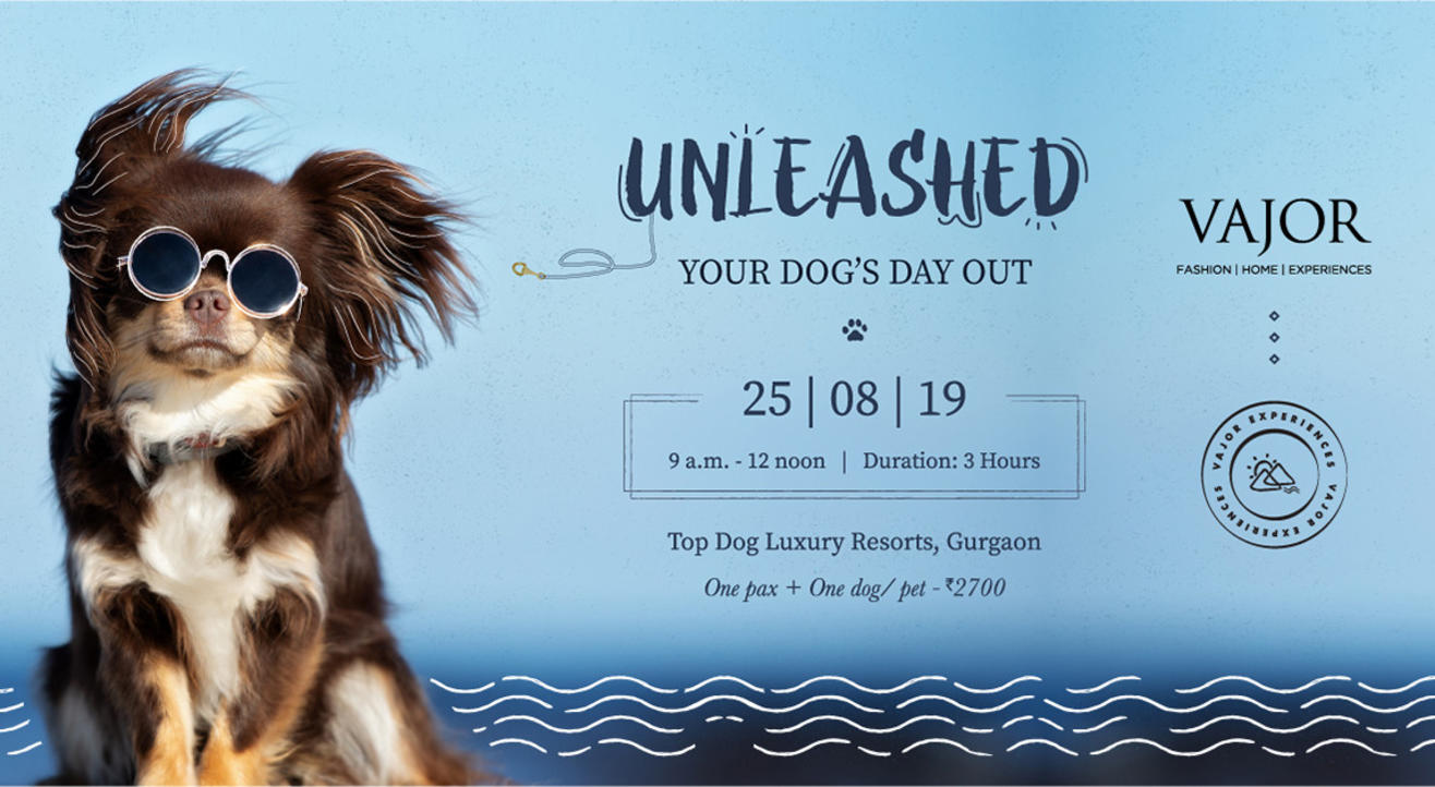 Unleashed :  Your Dog’s Day Out - Vajor Experiences