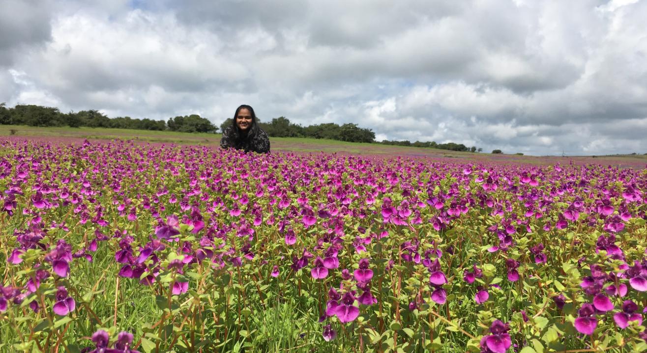 A Beautiful Day At 'The Valley Of Flowers' - Kaas Plateau