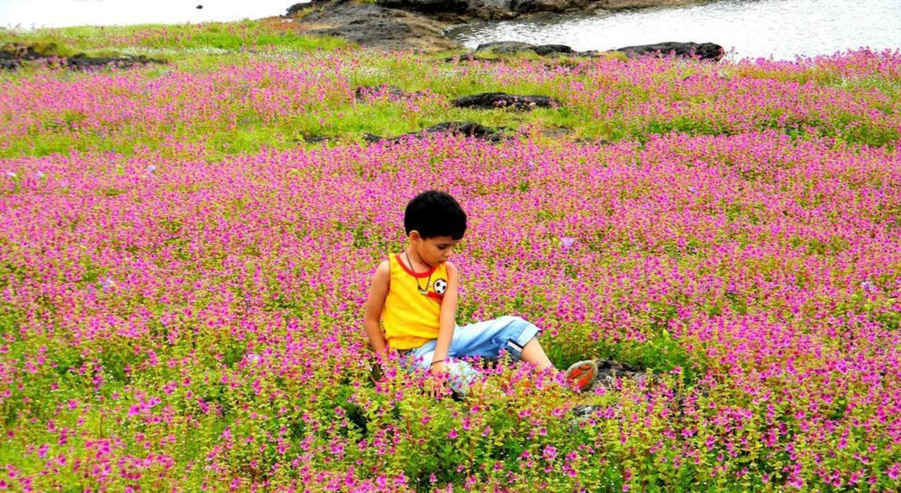 Valley Of Flowers Roadtrip Kaas Pathar