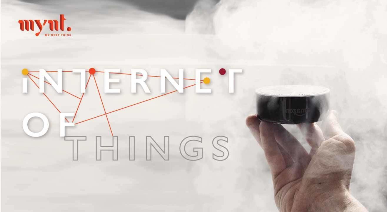 Internet of Things Capsule Course 