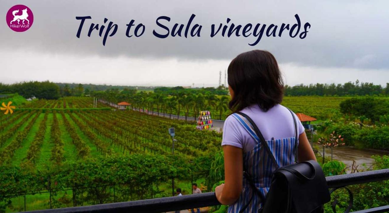 HikerWolf - Trip to Sula Vineyards