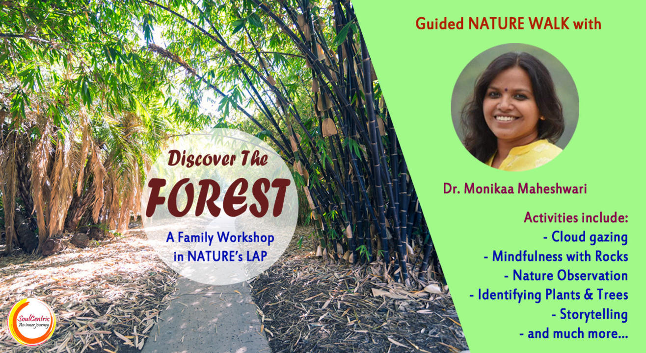 Discover the Forest: Guided Nature Walk