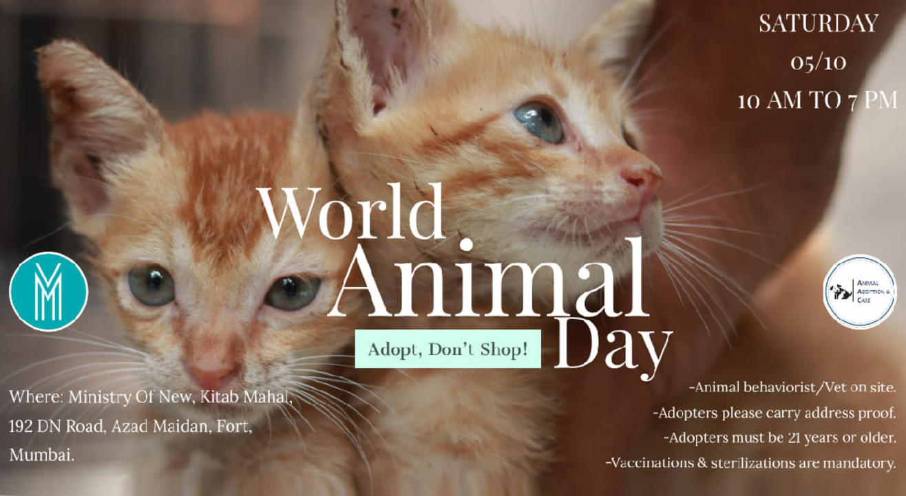 Celebrating World Animal Day Celebrating World Animal Day