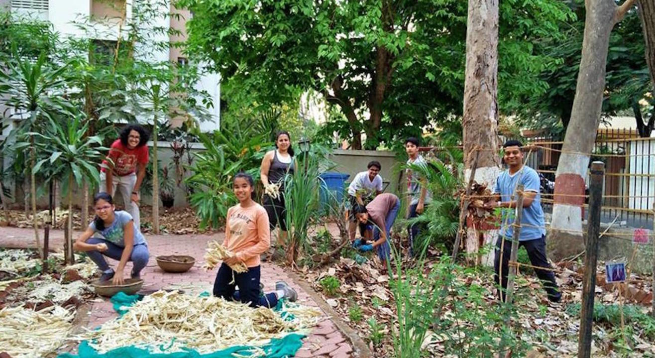 Dream Grove Bandra Community Farm