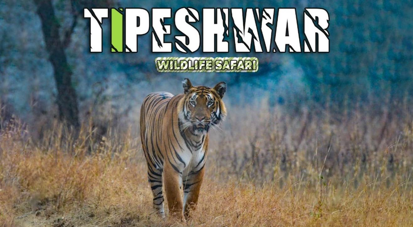 Tipeshwar Wildlife Safari | Travel Trikon