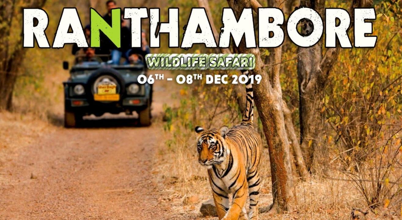 Ranthambore Jungle Safari | Travel Trikon