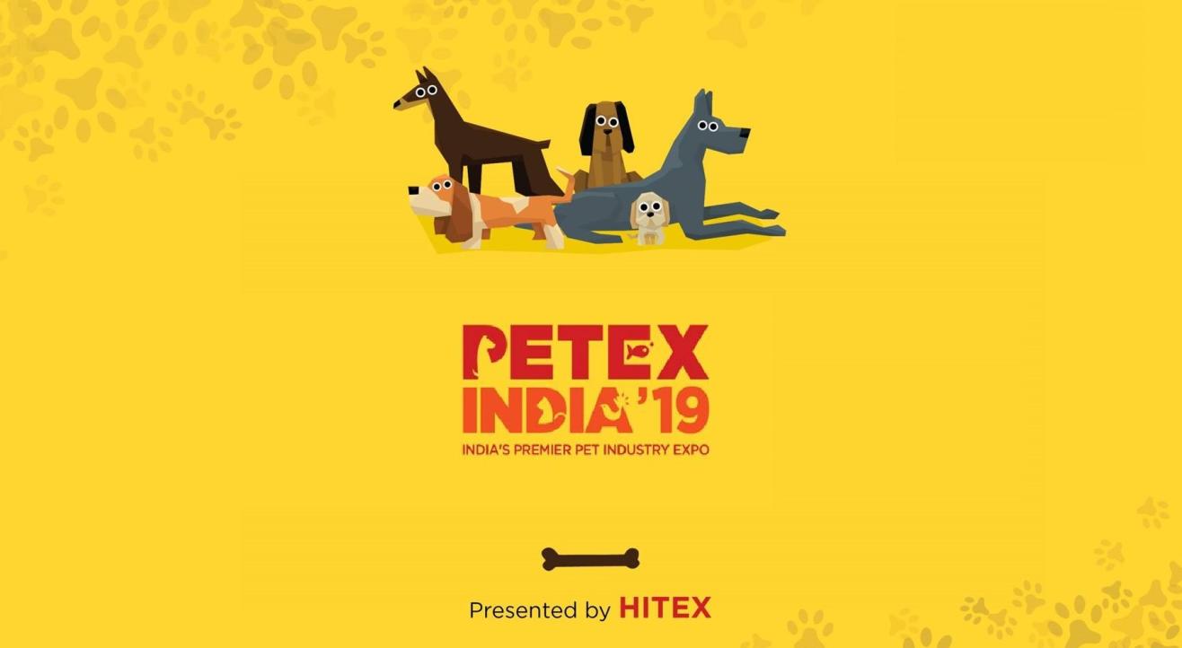 Petex India'19