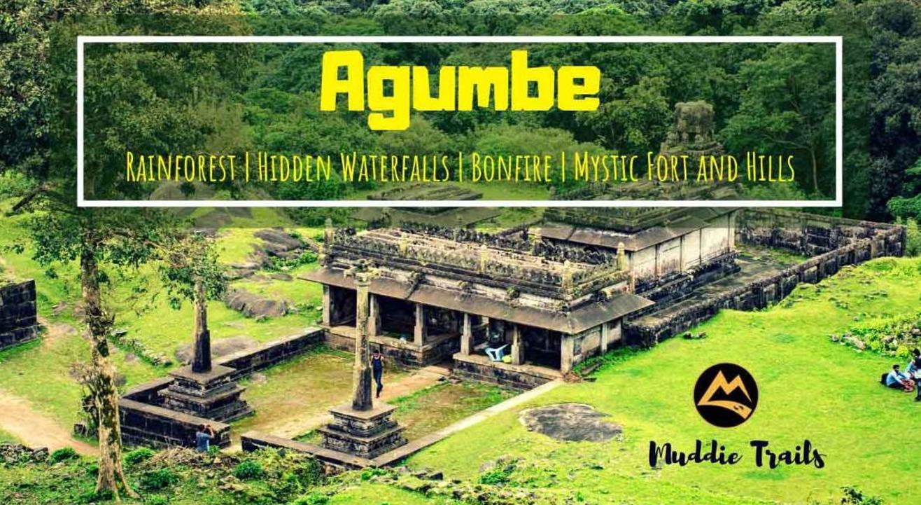 Monsoon special – The Agumbe Rainforest Experience | Muddie Trails