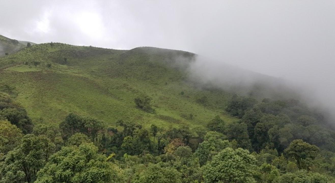 Kodachadri Trek | Namma Trip