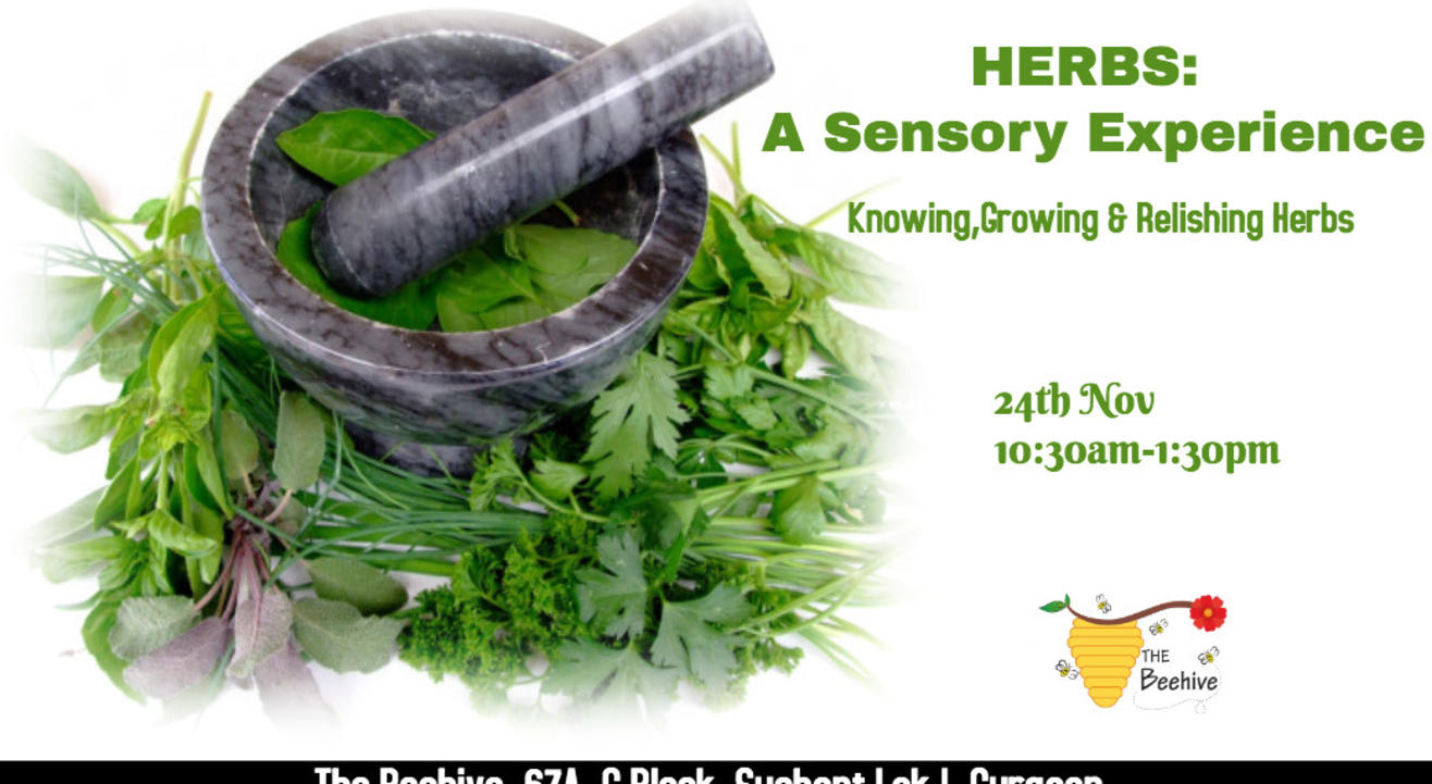 Herbs: A Sensory Experience