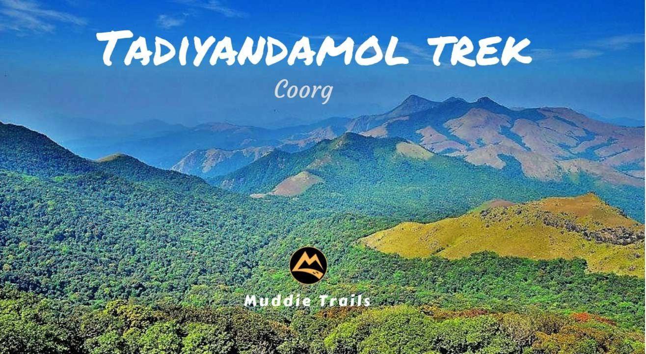 Coorg Tadiyandamol Peak Trek, Iruppu Waterfalls | Muddie Trails