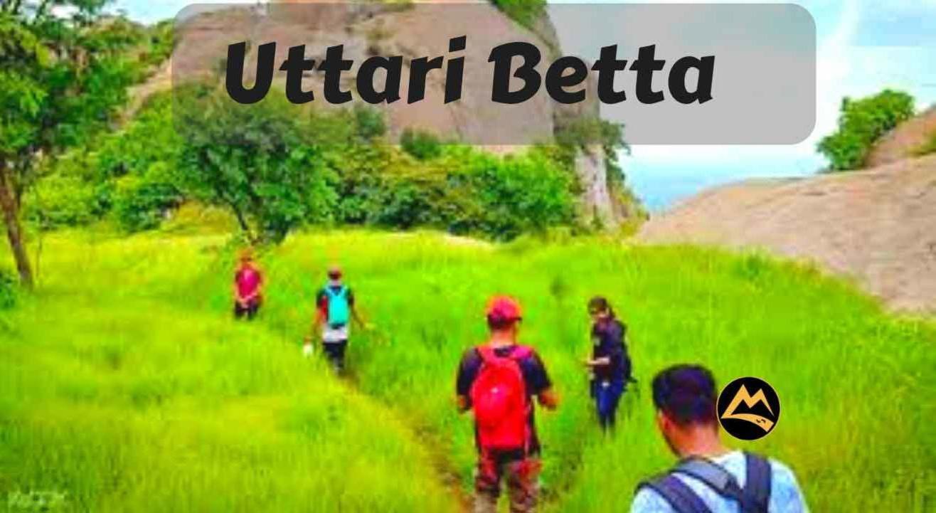 Uttari Betta Sunrise Trek | Muddie Trails