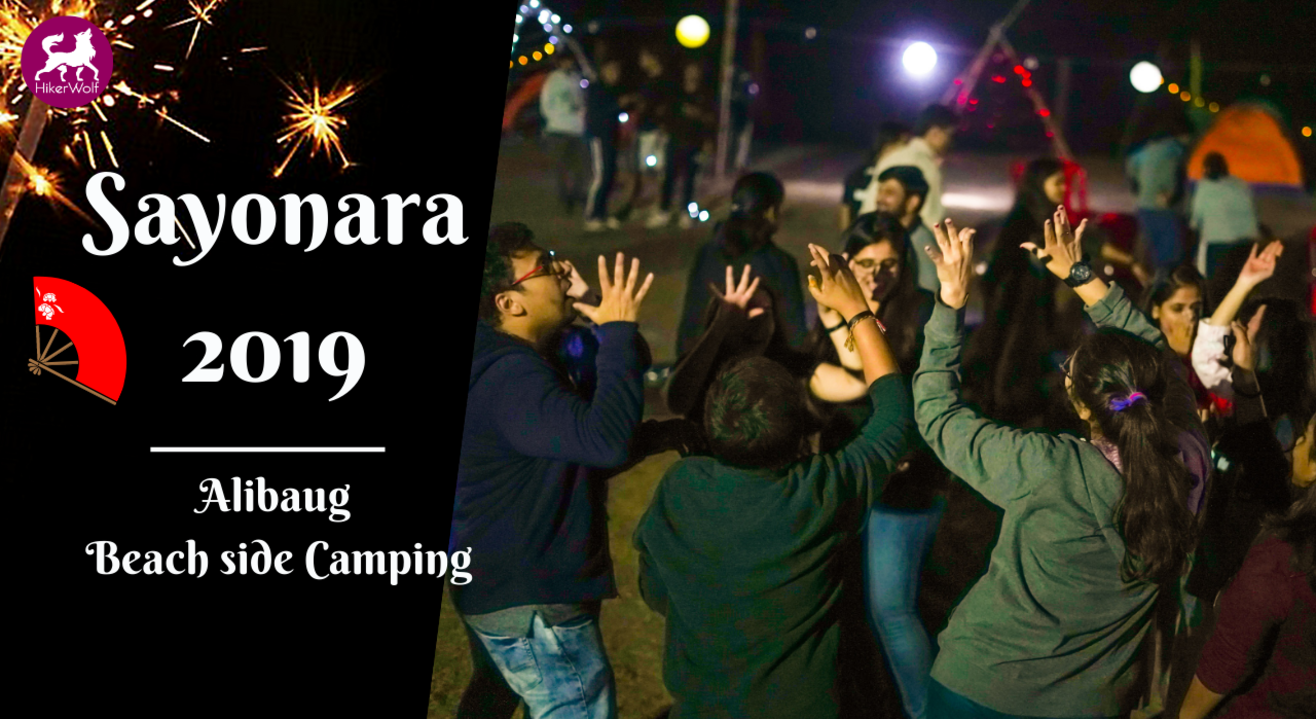 HikerWolf- Sayonara 2019- New Year camping on the beach